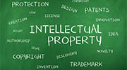 Lucknow intellectual property rights investigator